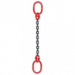 Ветви цепные