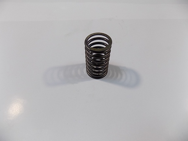 Пружина клапана внутренняя TDL16-36 4L /Inner valve spring