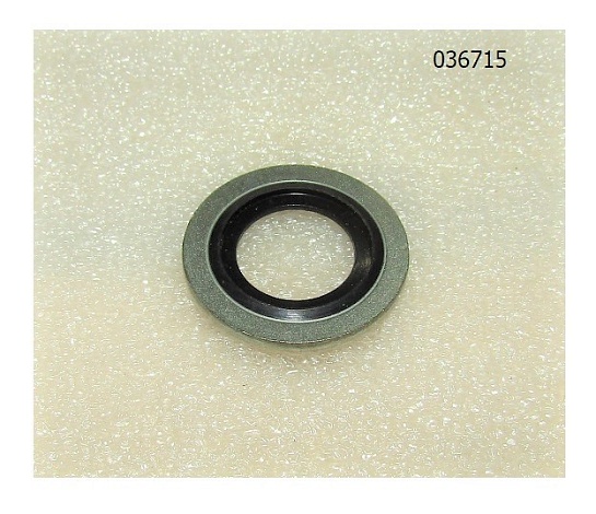 Шайба уплотнительная обрезиненная болта пустотелого TDK-N 110 4LT (D=12х22х2) /Washer QBK100D14