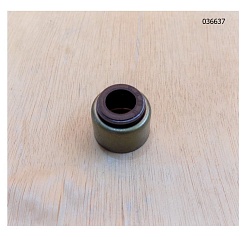 Колпачок маслосъёмный TDK-N 110 4LT/Valve oil seal R010015F
