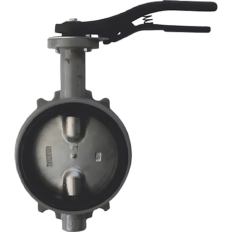 Затвор дисковый Giacomini поворотный DN200, R59WX020