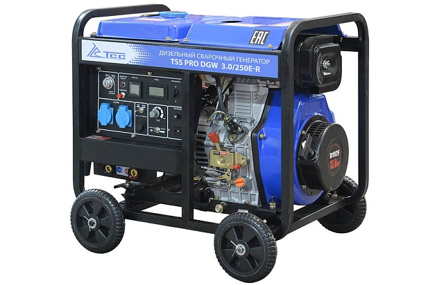 Электростанция (генератор) дизельная сварочная TSS PRO DGW 3.0/250E-R, 250А