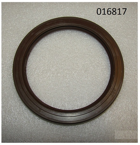 Сальник (100x130x12) вала коленчатого задний TDY 19,27 4L/Rear oil seal (Oil seal SG100x130x12)