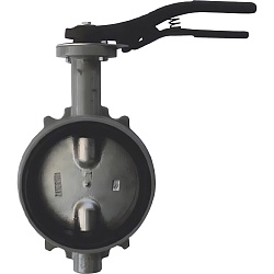Затвор дисковый Giacomini поворотный DN100, R59WX010