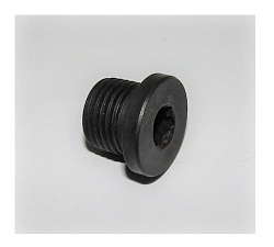 Болт углового соединения SDEC SC12E460D2; TDS 307 6LTE/Banjo bolt  (B00001704)